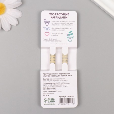Growing gift pencils mini "Mint + lavender" set 2 pcs.-1