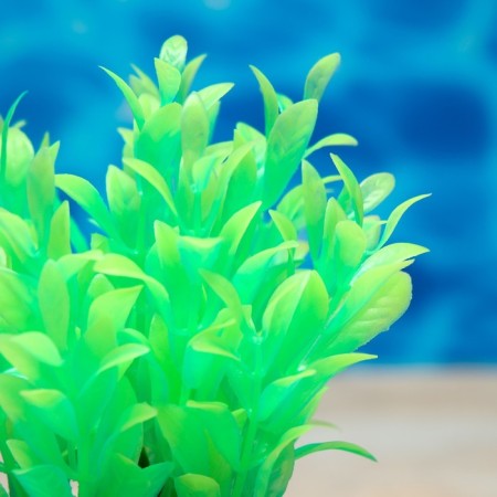 The plant is artificial aquarium, luminous, 10 cm, green-2