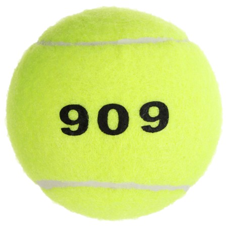 Bolshoi Tennis Onlytop No. 909, training