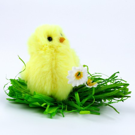 Soft toy "Tick", 7 cm, color mix-1