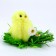 Soft toy "Tick", 7 cm, color mix