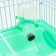 Cell for rodents "Pijon", 31 x 24 x 17 cm, green