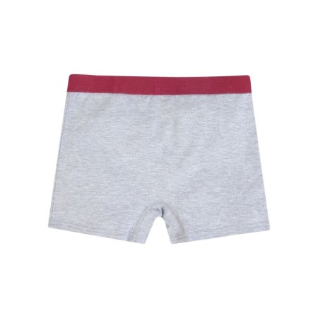 Basic boys panties for boys, height 98-104 cm, color gray melange-1