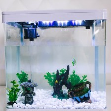 Decor for the Aquarium 