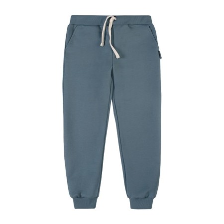 Pants for boys, height 104 cm, gray-green color-1
