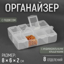 Organizer for needlework, with a suspension, 8 departments, 8 × 6 × 2 cm, the color is transparent