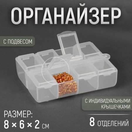 Organizer for needlework, with a suspension, 8 departments, 8 × 6 × 2 cm, the color is transparent