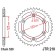 Vedica star JT SPROCKETS 210.49SC, chain 520, 49 teeth