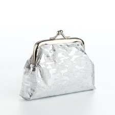 Women's wallet on the farmar, silver color