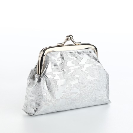 Women's wallet on the farmar, silver color