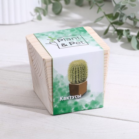 Set for growing P&P "Cacti"