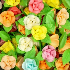 Vaphal violets on a two -leaf, mix, 100 pcs.