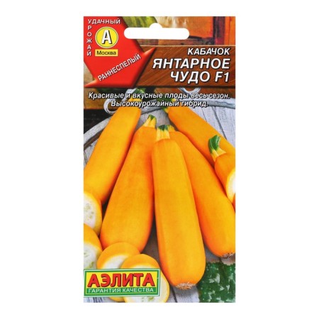 Semen zucchini zucchini "Amber Miracle" F1, c/n, 5 pcs
