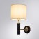 Sconces Arte Lamp Robert A5029AP-1SS, E27, 60 W, 20x25x37 cm, black