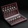 A set of Astra cutlery, 24 items, a thickness of 2.5 mm, a decorative box