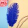 Feather for decor, size: 20-24 cm, blue color
