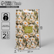 Gift package for two bottles, packaging, “bright moments”, 35 x 20 x 9 cm