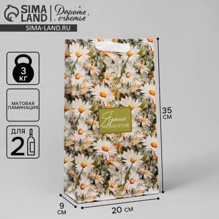 Gift package for two bottles, packaging, “bright moments”, 35 x 20 x 9 cm