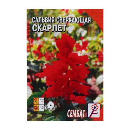 Salvia flowers sparkling "Scarlet", 0.05 g-2