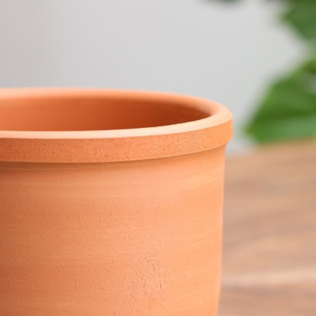 Flower pot "Dracaena" 1 l-1