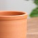 Flower pot "Dracaena" 1 l