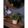 Decorative plant in a ceramic pot "Paporotnik", 12 × 12 × 42 cm