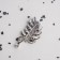 Galiotis brooch-column curl with pearls, green color in silver