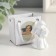 Polystone souvenir "Snowthrough angel in a dress with flowers" mix 5.2x3.3x3 cm