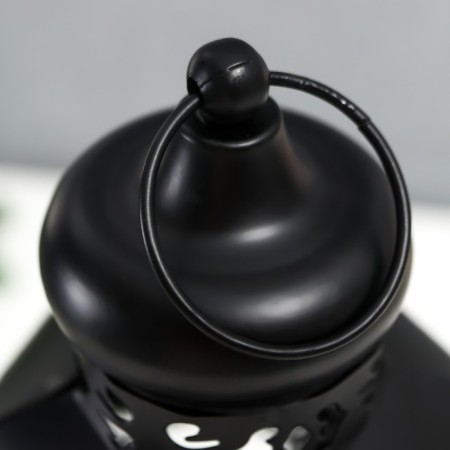 Climber Metal, glass "Lantern - Blooming monograms" D -10 cm black 13.5x15x29 cm-6