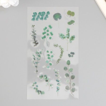 Stickers Plastic "Eucalypt" set of 6 sheets 10x18 cm-2