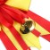 Icon - Order for the graduation "Graduate of the kindergarten", D = 9 cm