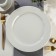 Porcelain plate flat Coral, d = 27.5 cm, white color