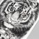 Tattoo on the body black "tiger and mechanical watch" 48x17 cm