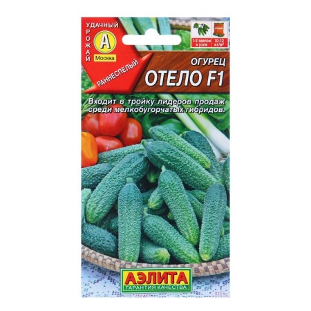 Cucumber seeds F1 BEC c/p 10pcs