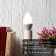 LED Candle Lamp (CN) 9.5W E14 903LM 4000K neutral light Rexant