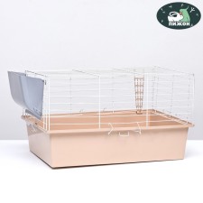The cage for rodents 