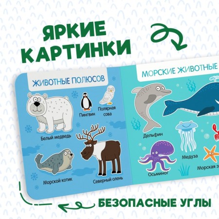 Cardboard book “First Book. Amazing animals ", 10 pp., 15 × 15 cm, blue tractor-2