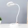 Bloom table lamp LED 3W AKB USB white 11.5x13x45 cm Risalux