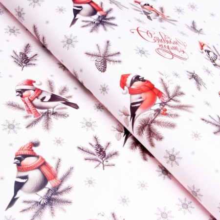 Packaging paper "bullfinch", gloss, bilateral, 80 g/m2, 70 x 100 cm-1