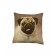 Decorative pillow "MOPS dog", size 40x40 cm