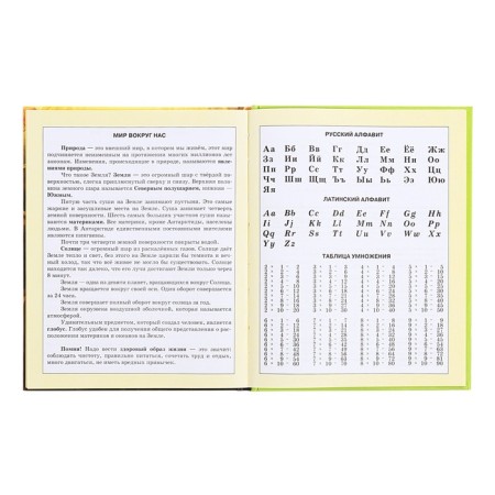 Diary for grades 1-4, hard cover "duckling", matte lamination, selective varnish, block 60 g/m2-13