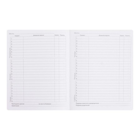Diary Artificial leather 1-11 grade, 48 sheets, cage, integral cover Silver Lines. Super Girl, foil embossing, rounded corners, colored end-6