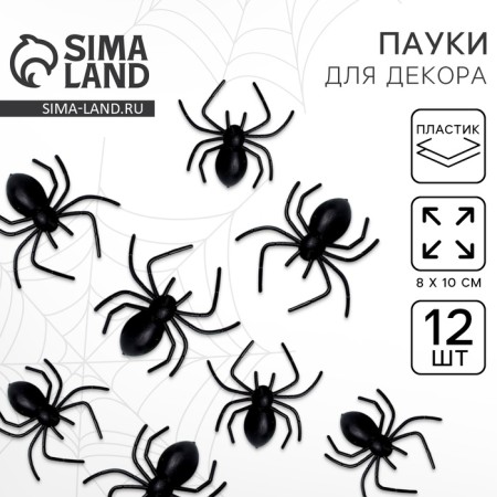 Spider joke, set 12