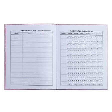 Universal Diary Grade 1-11, 48 sheets "Cat with a donut", hard cover, glossy lamination, foil embossing-6