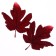 Decor "Autumn sheet" set of 15 pcs., Size 1 pc. - 9 × 11 × 0.2 cm, red color