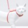 A set of ammunition with a toy, s, leash 120 x 1 cm, Osh 20-30, og 25-40 cm, pink