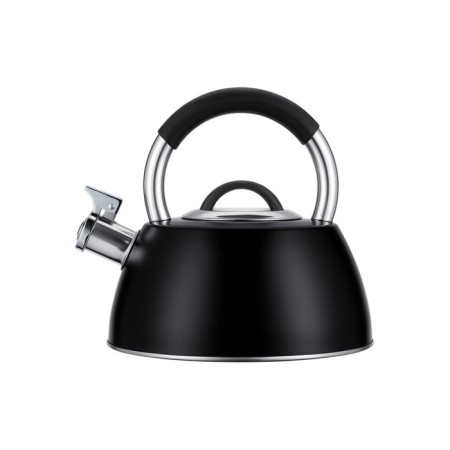 Teapot Regent Inox Tea, with a whistle, 3 l + a titting gift for brewing tea-1