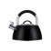 Teapot Regent Inox Tea, with a whistle, 3 l + a titting gift for brewing tea