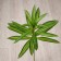 Flowers artificial "Palma homemade luxury strip" 55 cm, green