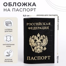 Cover for passport, black color